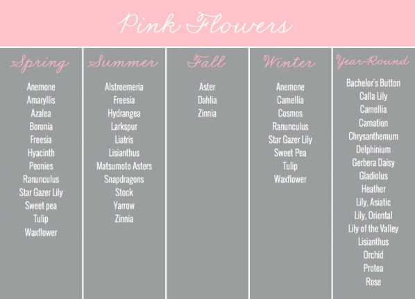 Pink Flowers by Season